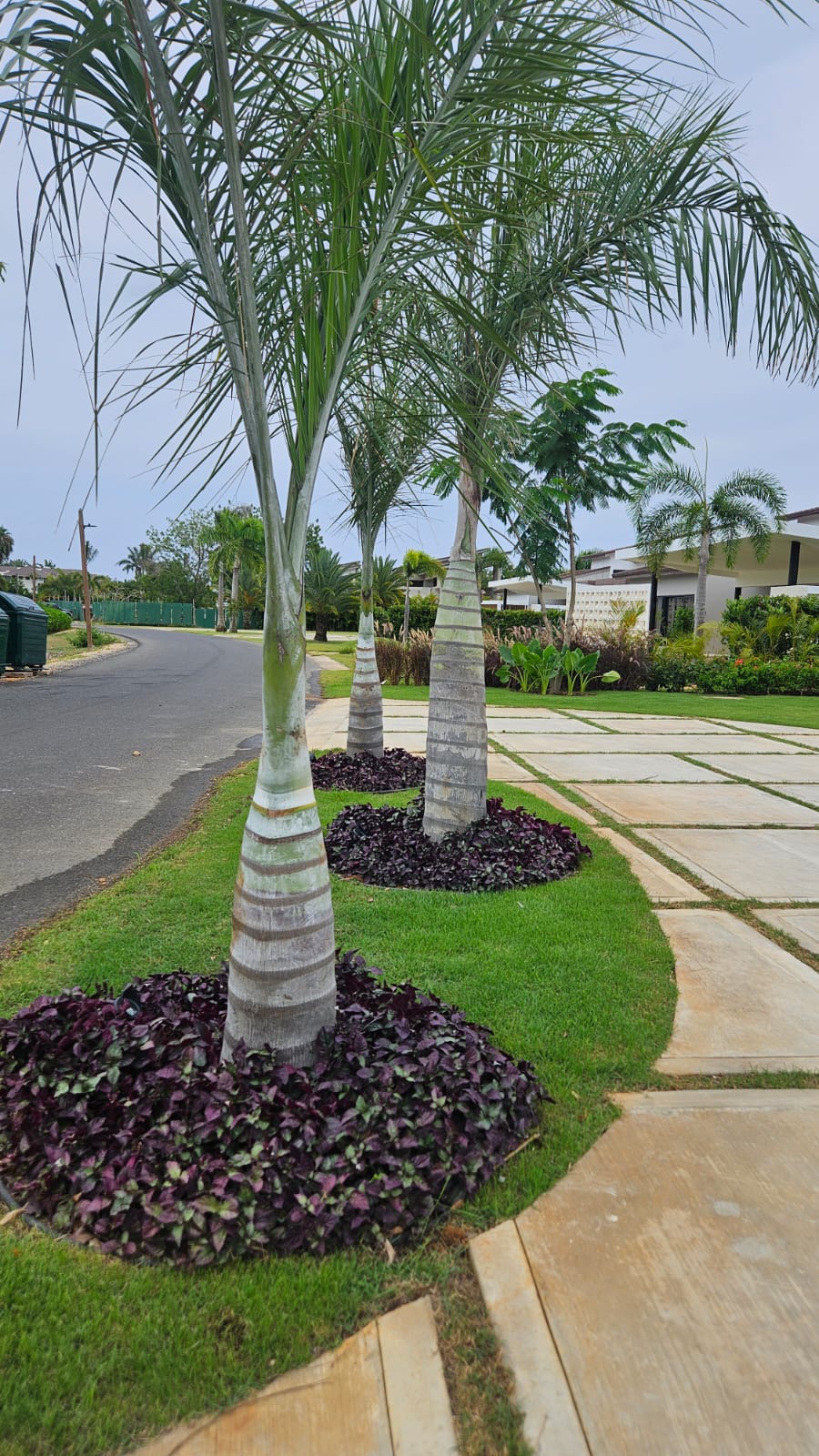 WhatsApp Image 2025-11-26 at 10.23.16 AM